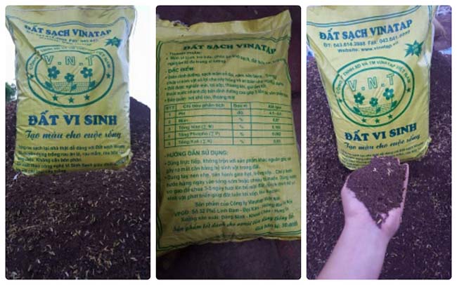 đất vi sinh trồng cây