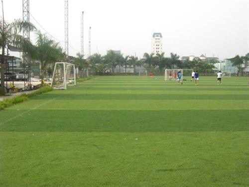 Thi công cỏ nhân tạo sân chơi tại Vinh